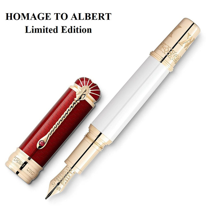 Montblanc stilografica Patron of Art Homage to Albert Limited Edition 4810 punta M 127850